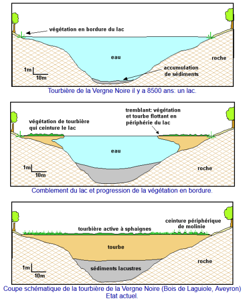 Formation de la Tourbière de la Vergne Noire (Aubrac) / CREN Midi-Pyrénée